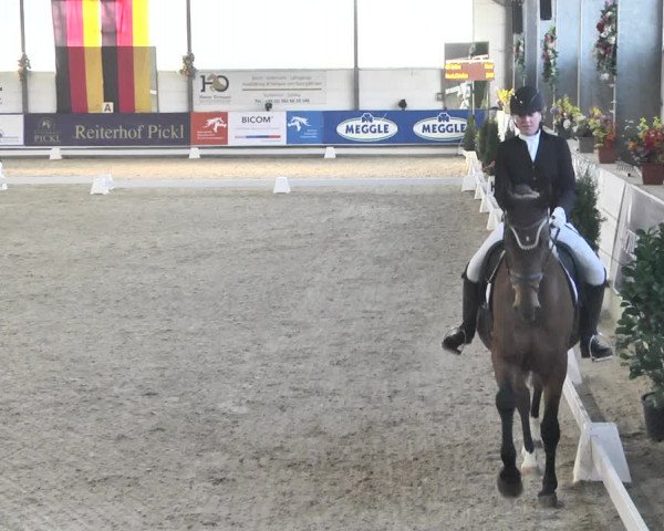 Reitturnier Karlsfeld 2022