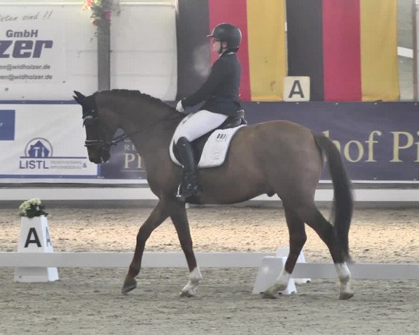 Reitturnier Karlsfeld 2022