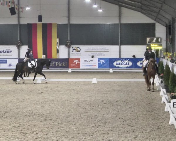 Reitturnier Karlsfeld 2022