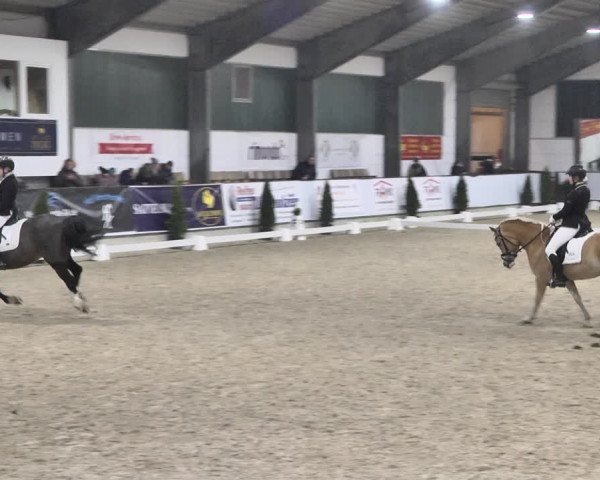 Reitturnier Karlsfeld 2022