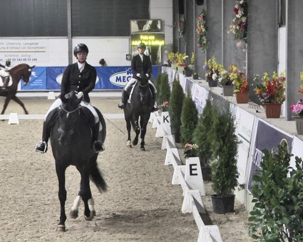 Reitturnier Karlsfeld 2022