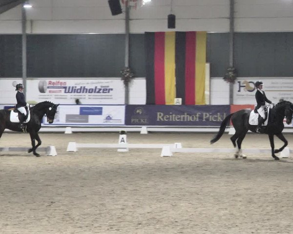Reitturnier Karlsfeld 2022