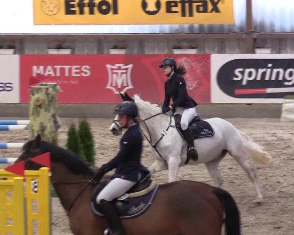 11. Nordic Jumping Event in Negernbötel 2022 – Abschlussturnier mit LVM Finale Dressur/Springen