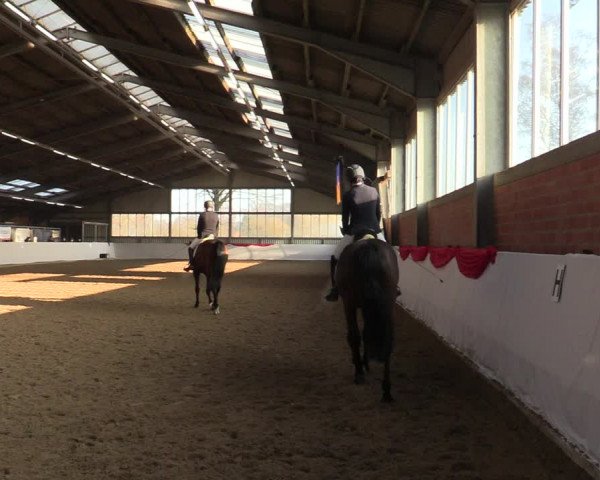 Reitturnier Greven 2022