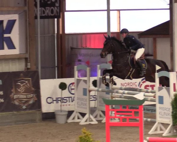 11. Nordic Jumping Event in Negernbötel 2022 – Abschlussturnier mit LVM Finale Dressur/Springen