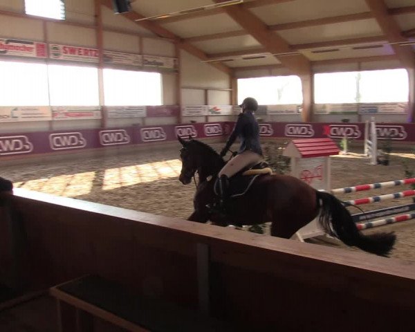 Reitturnier Goch-Asperden 2022