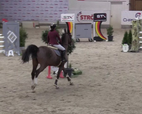 11. Nordic Jumping Event in Negernbötel 2022 – Abschlussturnier mit LVM Finale Dressur/Springen