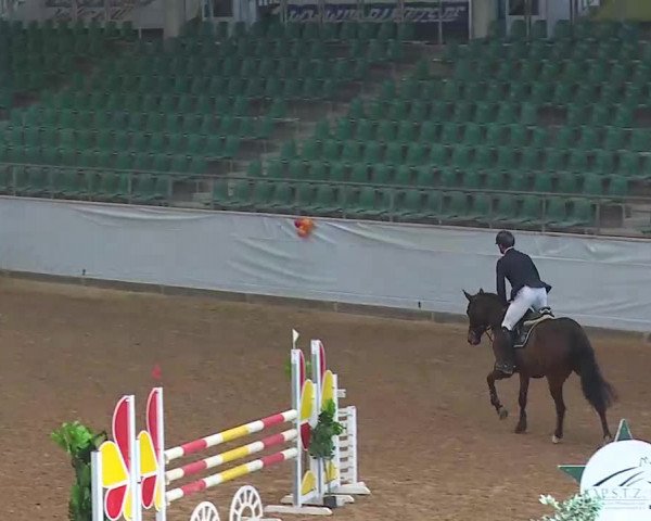 Reitturnier Kreuth 2022