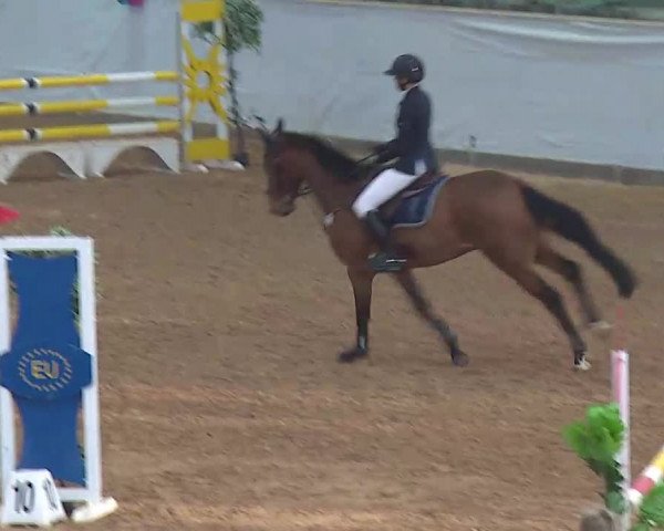 Reitturnier Kreuth 2022