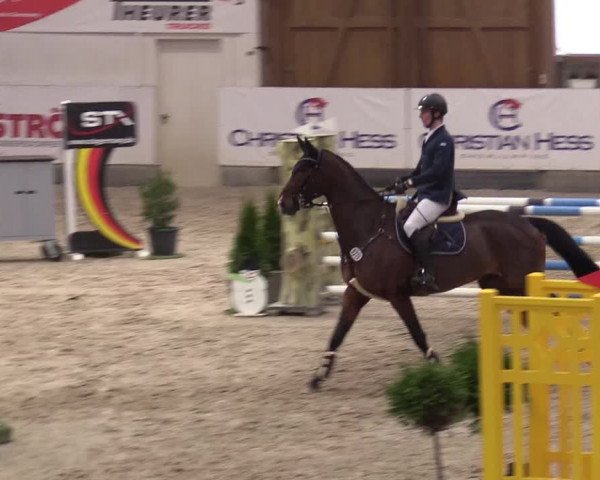 11. Nordic Jumping Event in Negernbötel 2022 – Abschlussturnier mit LVM Finale Dressur/Springen