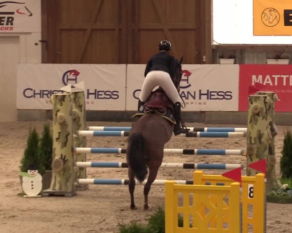 11. Nordic Jumping Event in Negernbötel 2022 – Abschlussturnier mit LVM Finale Dressur/Springen