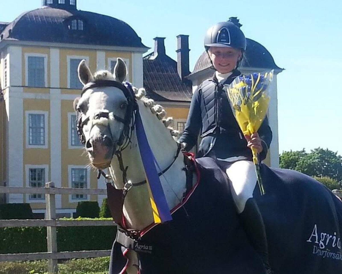stallion Kulltorps Yrrol RW (Welsh-Pony (Section B), 1996, from Paddock Camargue)