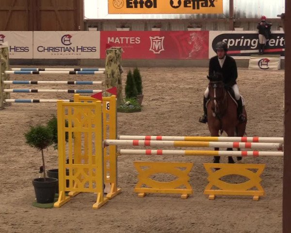 11. Nordic Jumping Event in Negernbötel 2022 – Abschlussturnier mit LVM Finale Dressur/Springen