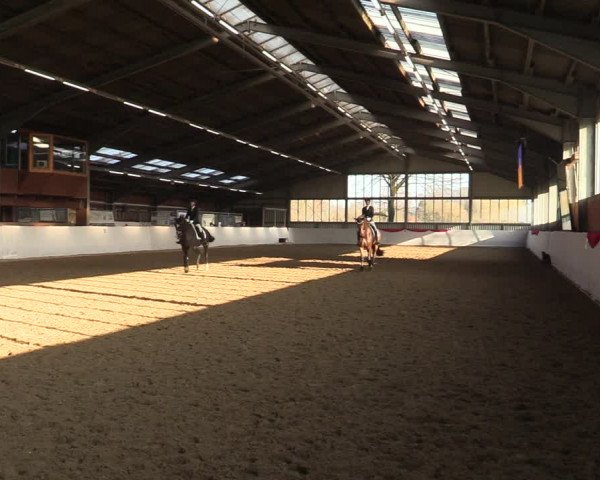 Reitturnier Greven 2022