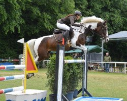 broodmare Ravenne 5 (Polish Warmblood, 2003, from Landos)