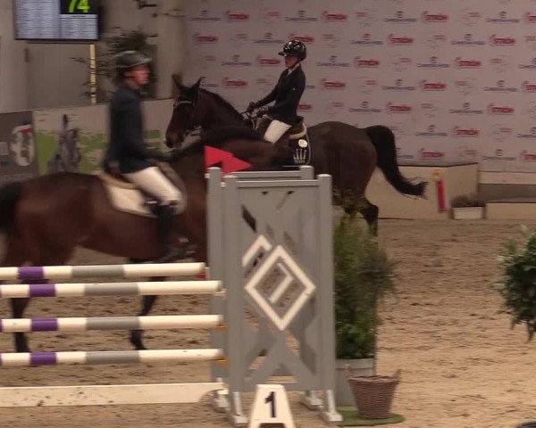 11. Nordic Jumping Event in Negernbötel 2022 – Abschlussturnier mit LVM Finale Dressur/Springen