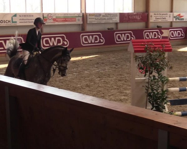 Reitturnier Goch-Asperden 2022