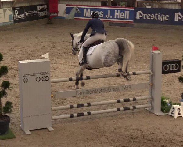 11. Nordic Jumping Event in Negernbötel 2022 – Abschlussturnier mit LVM Finale Dressur/Springen