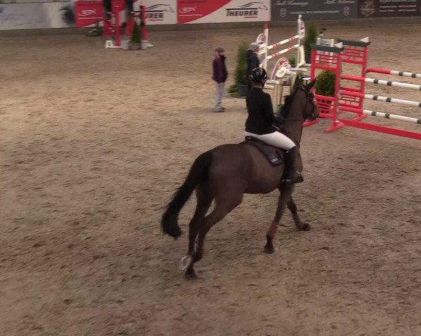 11. Nordic Jumping Event in Negernbötel 2022 – Abschlussturnier mit LVM Finale Dressur/Springen
