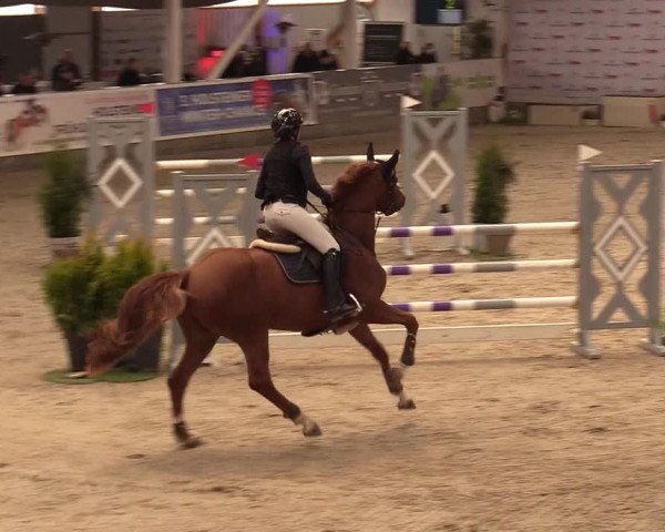 11. Nordic Jumping Event in Negernbötel 2022 – Abschlussturnier mit LVM Finale Dressur/Springen