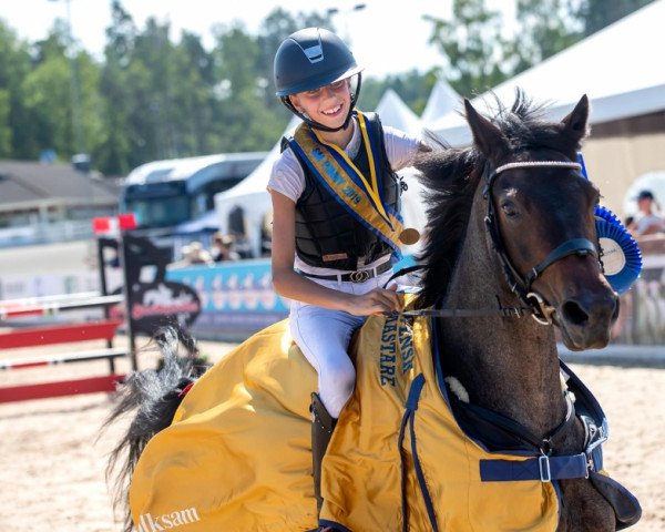 horse Giovanna (Swedish Riding Pony, 2009, from Poetic Justice)