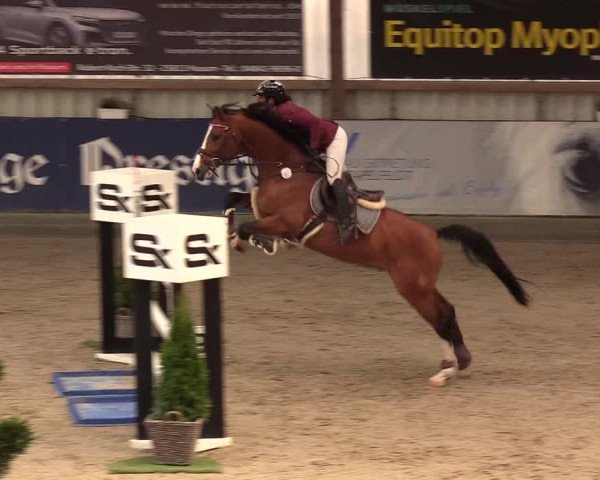 11. Nordic Jumping Event in Negernbötel 2022 – Abschlussturnier mit LVM Finale Dressur/Springen