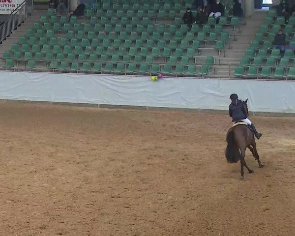 Reitturnier Kreuth 2022