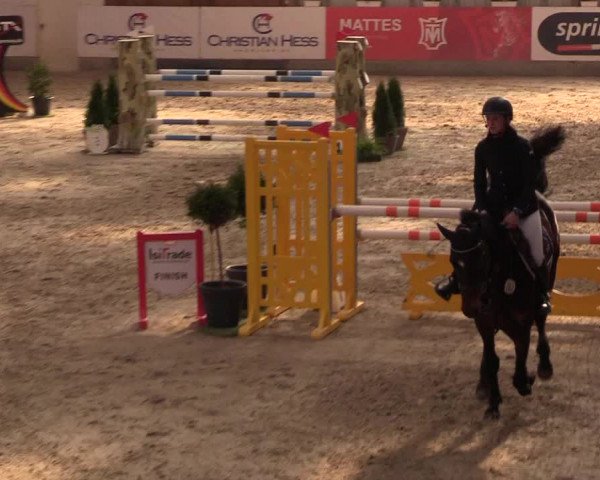 11. Nordic Jumping Event in Negernbötel 2022 – Abschlussturnier mit LVM Finale Dressur/Springen