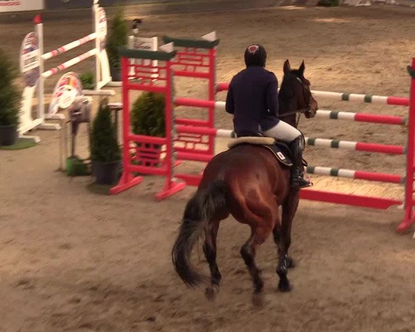 11. Nordic Jumping Event in Negernbötel 2022 – Abschlussturnier mit LVM Finale Dressur/Springen