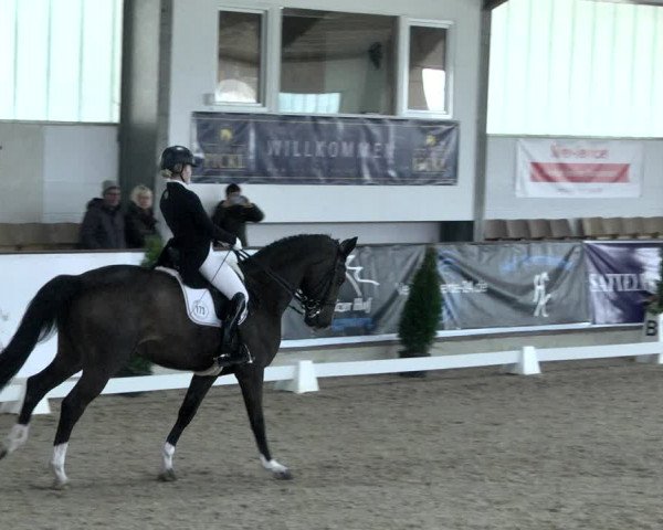Reitturnier Karlsfeld 2022