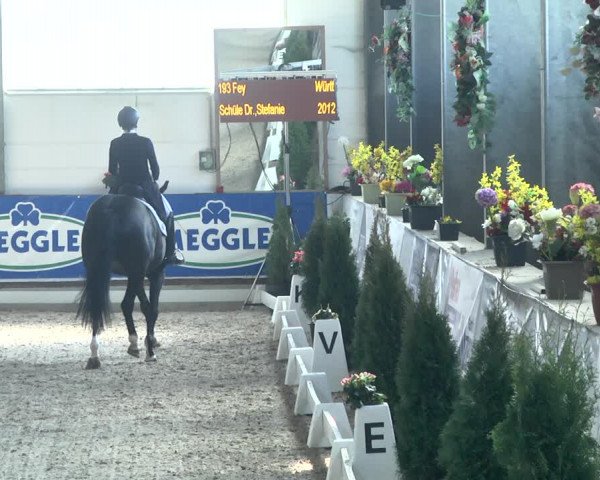 Reitturnier Karlsfeld 2022