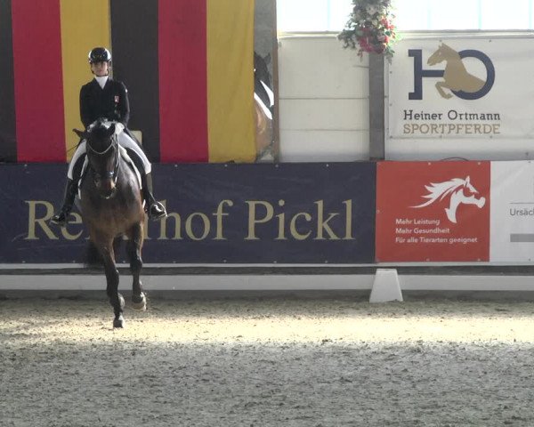 Reitturnier Karlsfeld 2022