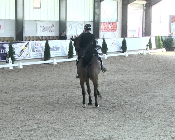 Reitturnier Karlsfeld 2022