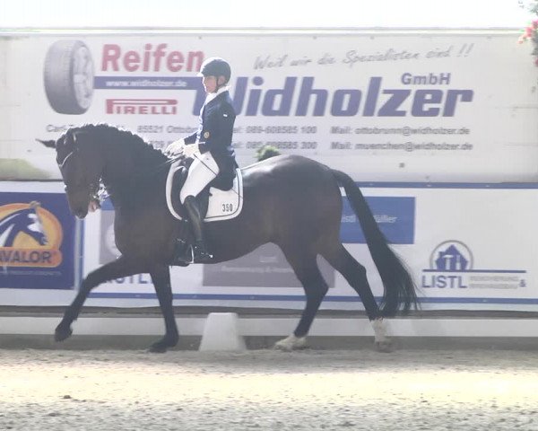 Reitturnier Karlsfeld 2022