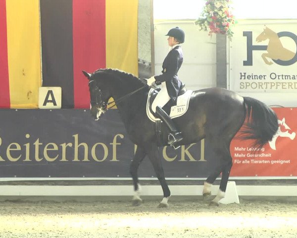 Reitturnier Karlsfeld 2022