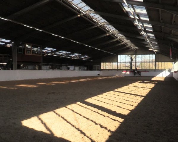 Reitturnier Greven 2022