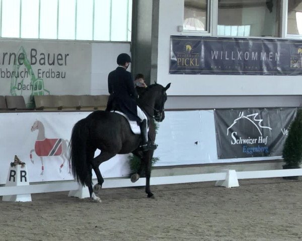 Reitturnier Karlsfeld 2022