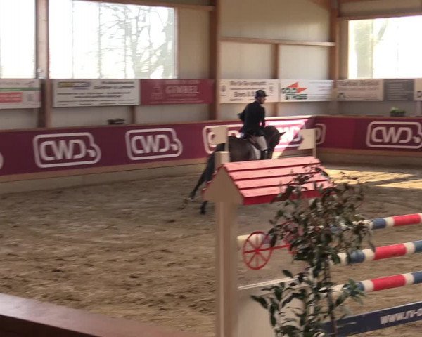 Reitturnier Goch-Asperden 2022