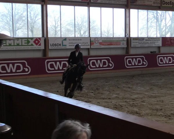 Reitturnier Goch-Asperden 2022