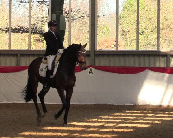 Reitturnier Greven 2022