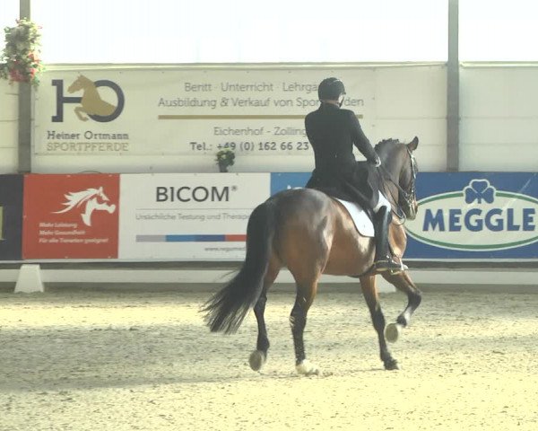 Reitturnier Karlsfeld 2022