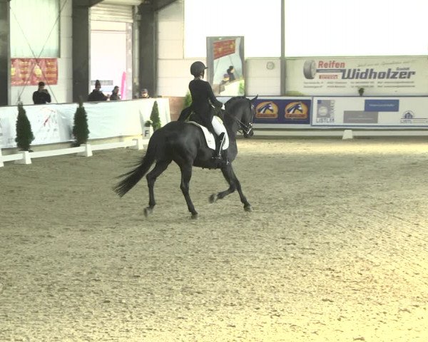 Reitturnier Karlsfeld 2022