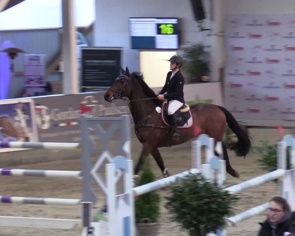 11. Nordic Jumping Event in Negernbötel 2022 – Abschlussturnier mit LVM Finale Dressur/Springen
