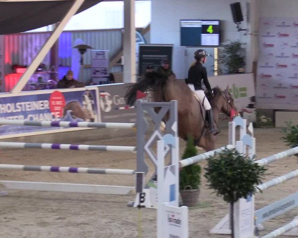 11. Nordic Jumping Event in Negernbötel 2022 – Abschlussturnier mit LVM Finale Dressur/Springen