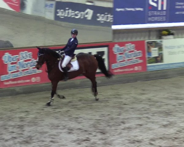 11. Nordic Jumping Event in Negernbötel 2022 – Abschlussturnier mit LVM Finale Dressur/Springen
