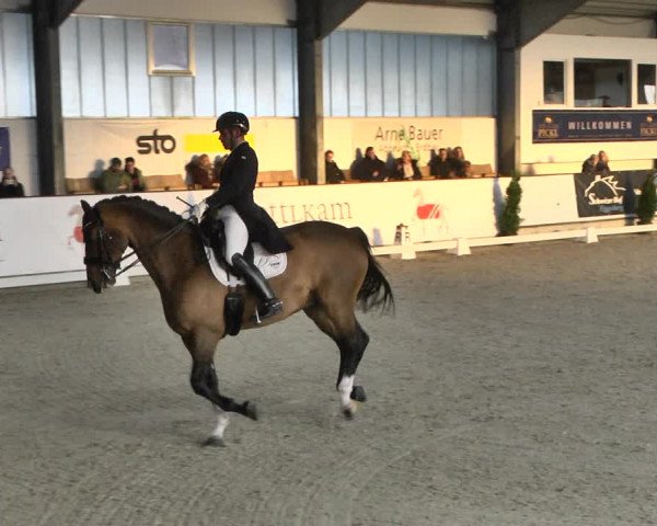 Reitturnier Karlsfeld 2022