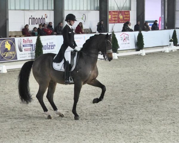 Reitturnier Karlsfeld 2022