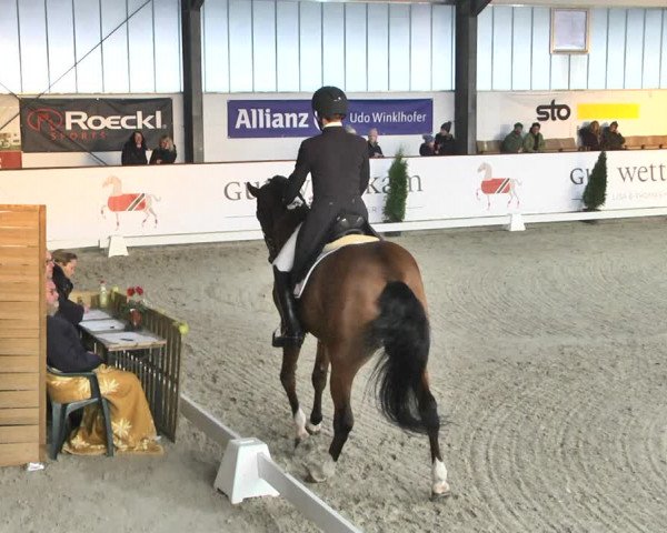Reitturnier Karlsfeld 2022
