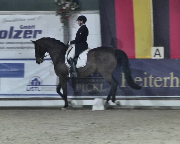 Reitturnier Karlsfeld 2022