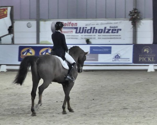 Reitturnier Karlsfeld 2022